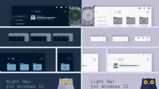 Night Owl Theme for Windows 11